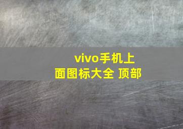 vivo手机上面图标大全 顶部